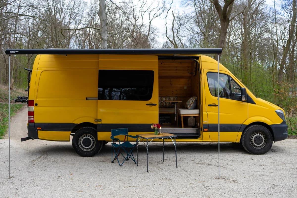 Vanchesca thumbnail 8